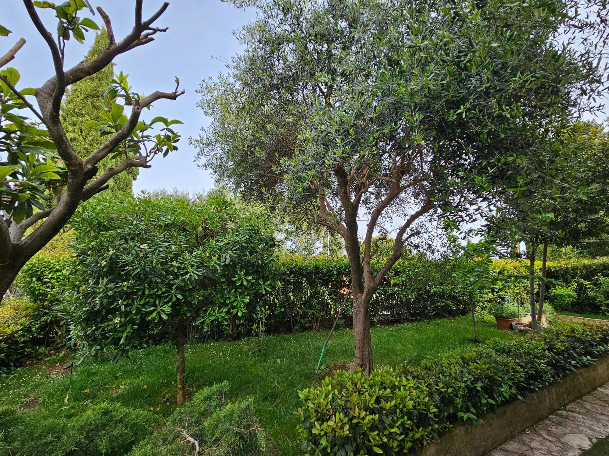 Zita - Heart Of Rovinj, Apartment For 2, Free Parking, 2Min Center, 5Min Beach Walk Ngoại thất bức ảnh